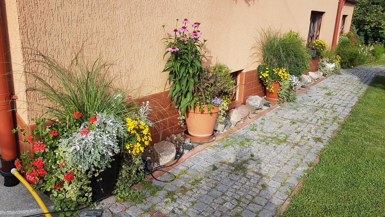 Appartamento Wanda Szczawno-Zdroj Esterno foto