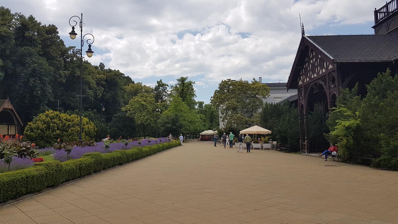 Appartamento Wanda Szczawno-Zdroj Esterno foto